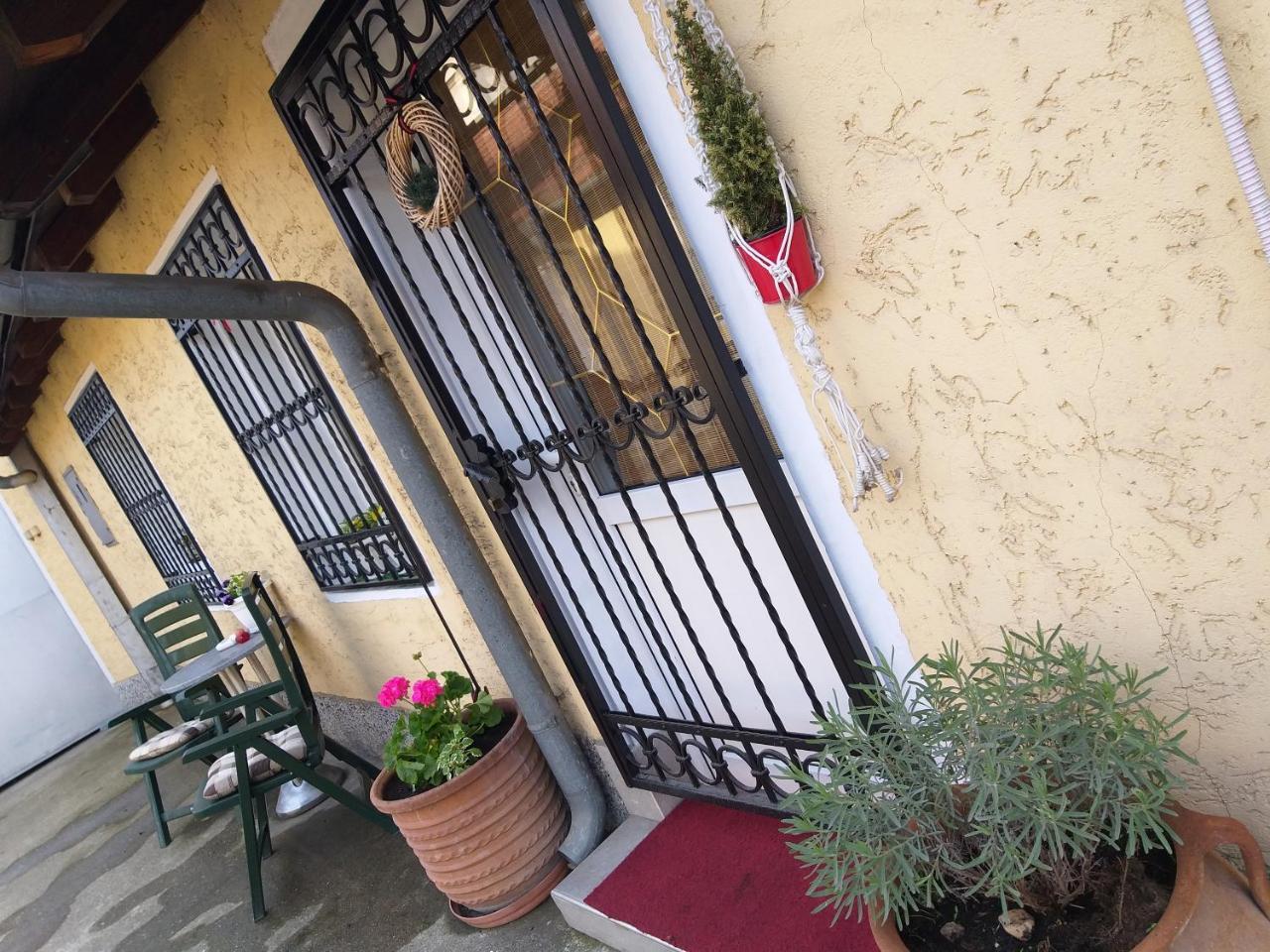 Green Point Apartments Dusanovac Exterior photo